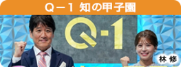 Ｑ－１ 知の甲子園