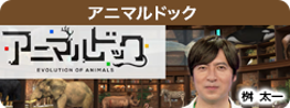 アニマルドック