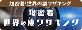 超密着!世界の凄(すご)ワザキング