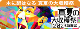 木に梨はなる　真夏の大収穫祭2024